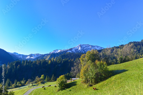 Fototapeta Naklejka Na Ścianę i Meble -  Bergdorf Ebnit im Gemeindegebiet der Stadt Dornbirn in Vorarlberg (Österreich)