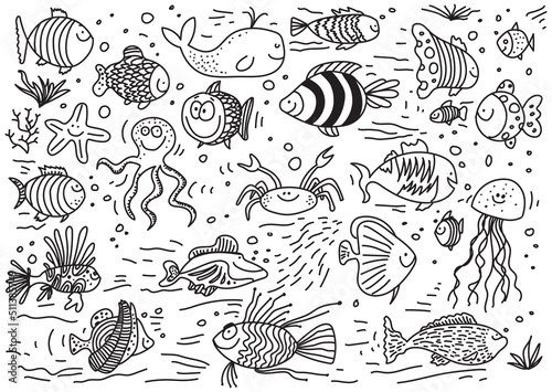 Vector hand drawn different fish doodles on white background