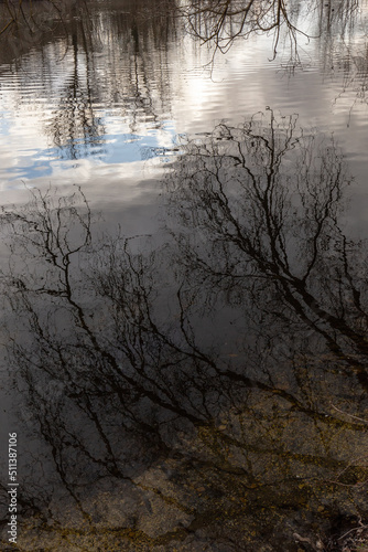 Trees, sky and clouds reflections on water