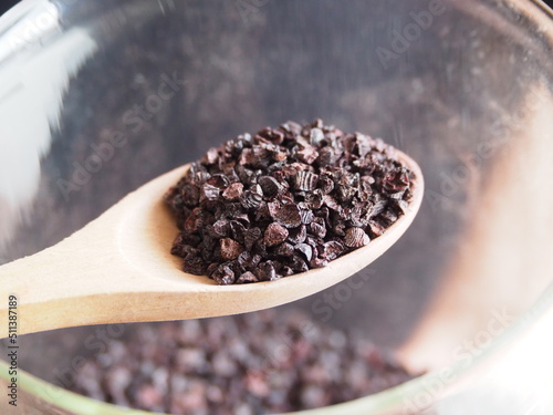 cochineal insects (Dactylopius coccus) which produce dye carmine.