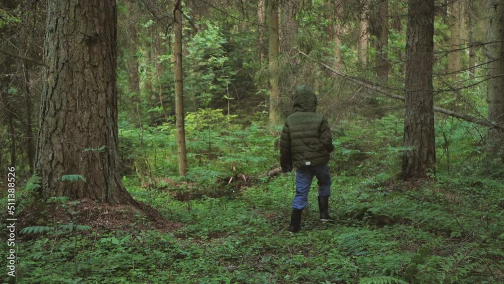 The child got lost in the woods alone. The boy in the woods alone. Survival alone in the forest. A tourist child got lost in the thicket. An upset child is waiting to be found. Selective focus The child got lost in the woods alone. The boy in the woods alone. Survival alone in the forest. A tourist child got lost in the thicket. An upset child is waiting to be found. Selective focus