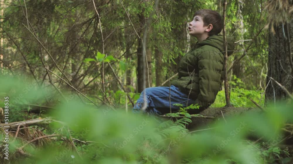The child got lost in the woods alone. The boy in the woods alone. Survival alone in the forest. A tourist child got lost in the thicket. An upset child is waiting to be found. Selective focus The child got lost in the woods alone. The boy in the woods alone. Survival alone in the forest. A tourist child got lost in the thicket. An upset child is waiting to be found. Selective focus
