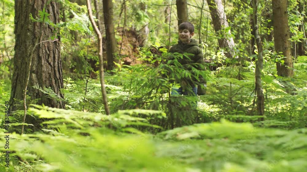 The child got lost in the woods alone. The boy in the woods alone. Survival alone in the forest. A tourist child got lost in the thicket. An upset child is waiting to be found. Selective focus The child got lost in the woods alone. The boy in the woods alone. Survival alone in the forest. A tourist child got lost in the thicket. An upset child is waiting to be found. Selective focus