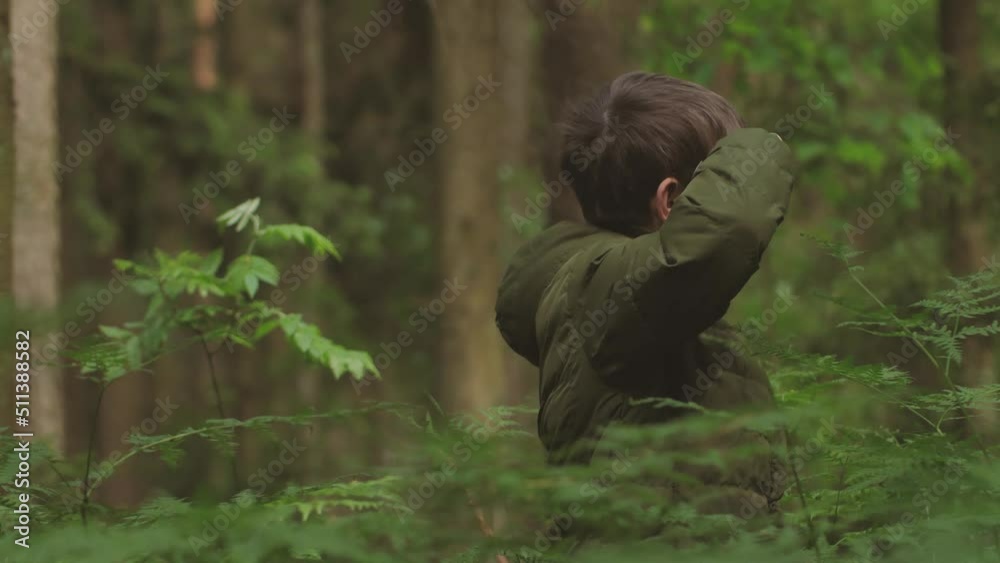 The child got lost in the woods alone. The boy in the woods alone. Survival alone in the forest. A tourist child got lost in the thicket. An upset child is waiting to be found. Selective focus The child got lost in the woods alone. The boy in the woods alone. Survival alone in the forest. A tourist child got lost in the thicket. An upset child is waiting to be found. Selective focus