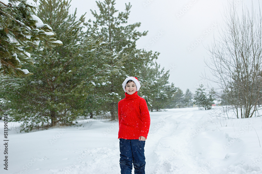 a teenager in a red sweater and a red hat walks in the winter in the park, near the pines in the snow, smiling.