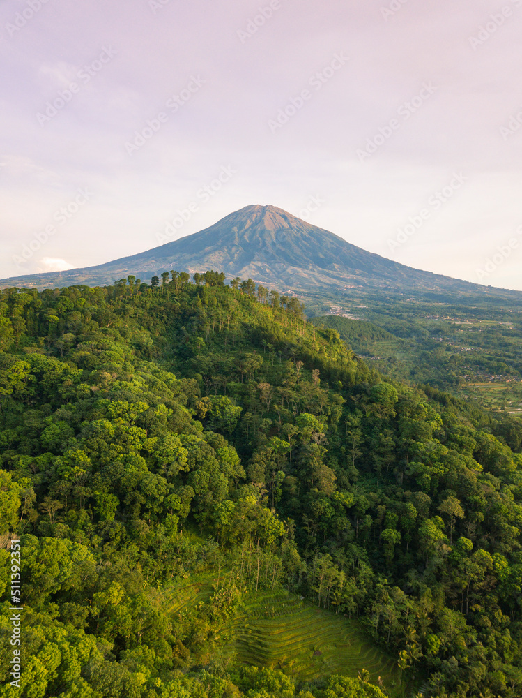 Drone photo of Mount Sumbing with hill overgrown by dense of trees in the morning. Central Java, Indonesia Drone photo of Mount Sumbing with hill overgrown by dense of trees in the morning. Central Java, Indonesia