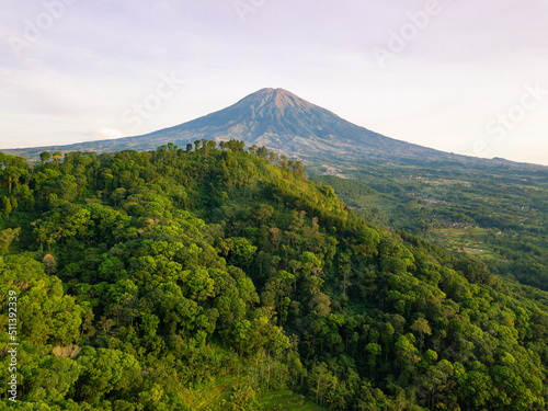 Drone photo of Mount Sumbing with hill overgrown by dense of trees in the morning. Central Java  Indonesia