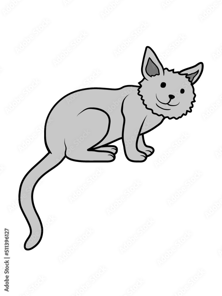 Liebe süße Katze sitzt Liebe süße Katze sitzt