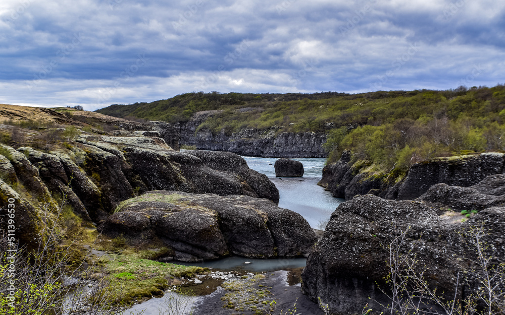 Fototapeta premium Beautiful waterfall in Iceland. Typical Iceland landscape, wild nature 