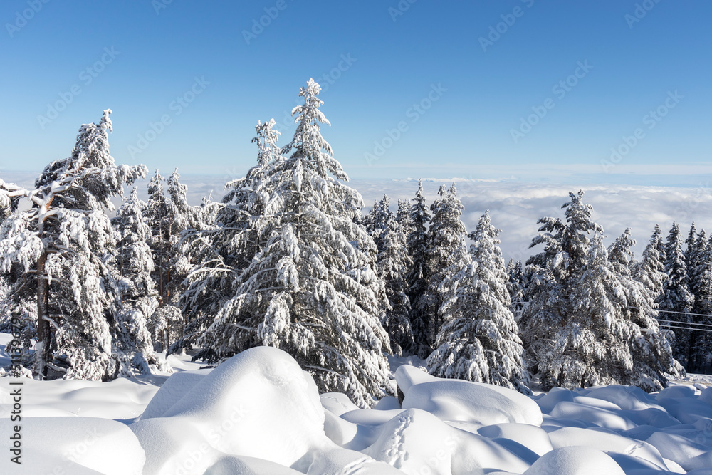 Winter view of Vitosha Mountain, Bulgaria