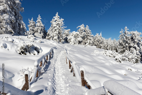 Winter view of Vitosha Mountain, Bulgaria © hdesislava
