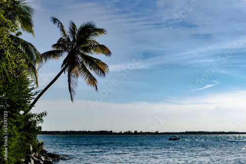View of the beach of cacha-pregos with coconut trees, Vera Cruz, Bahia
