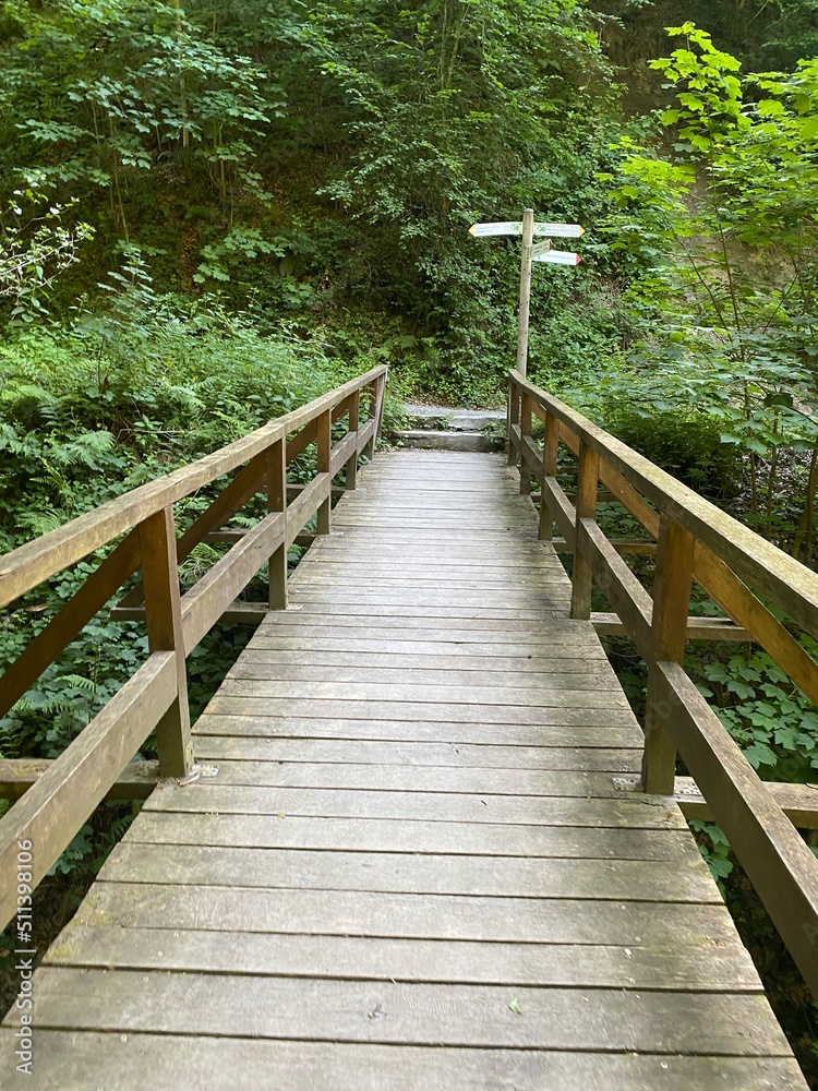 tal der wilden endert, greimersburg, endert, cochem, eifel, wanderweg, deutschlands, feldweg, landwirtschaftlicher verkehr, frühling, sommer, wald, natur, ins grüne, traktor, wald, wiese, weide, natur