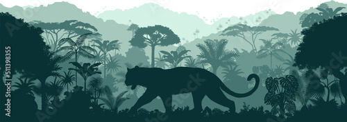Vector horizontal seamless tropical rainforest Jungle background with jaguar