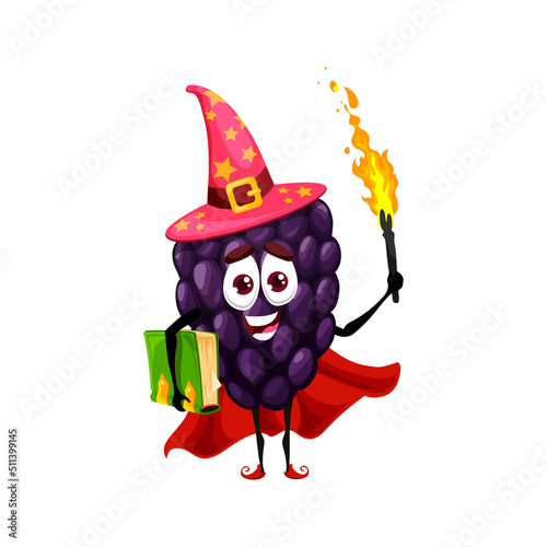 Cartoon blackberry or bramble magician, wizard character with torch. Funny vector berry wiz in witch hat and spellbook. Ripe garden plant sorcerer with smiling face, healthy mulberry astronomer