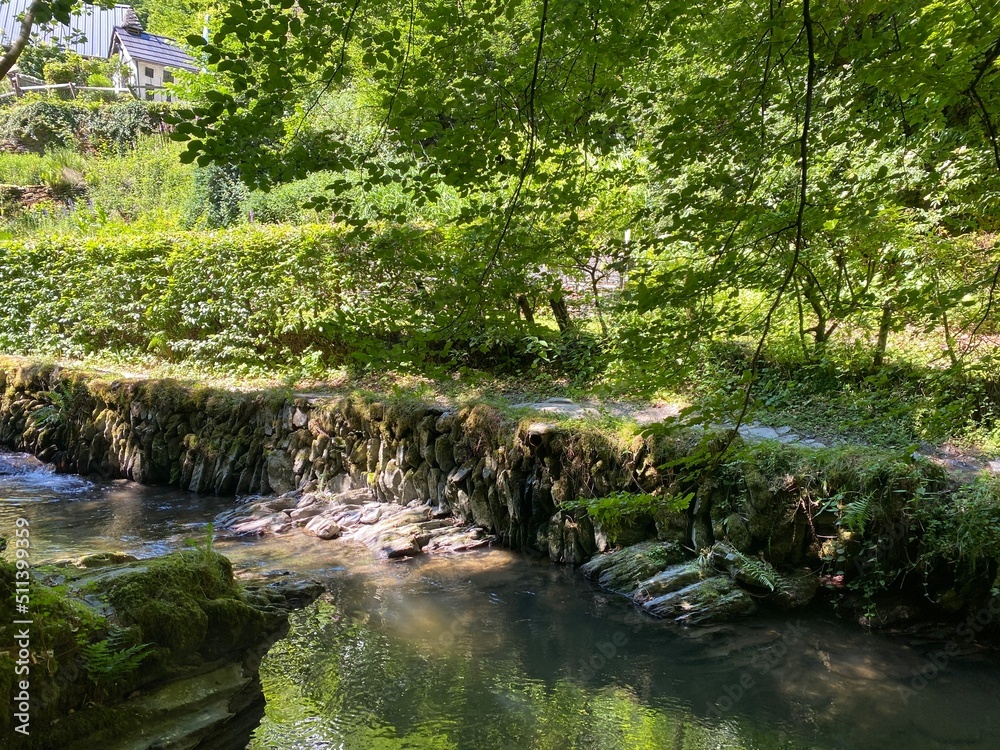 tal der wilden endert, greimersburg, endert, cochem, eifel, wanderweg, deutschlands, feldweg, landwirtschaftlicher verkehr, frühling, sommer, wald, natur, ins grüne, traktor, wald, wiese, weide, natur tal der wilden endert, greimersburg, endert, cochem, eifel, wanderweg, deutschlands, feldweg, landwirtschaftlicher verkehr, frühling, sommer, wald, natur, ins grüne, traktor, wald, wiese, weide, natur