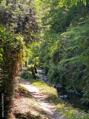tal der wilden endert, greimersburg, endert, cochem, eifel, wanderweg, deutschlands, feldweg, landwirtschaftlicher verkehr, frühling, sommer, wald, natur, ins grüne, traktor, wald, wiese, weide, natur photo