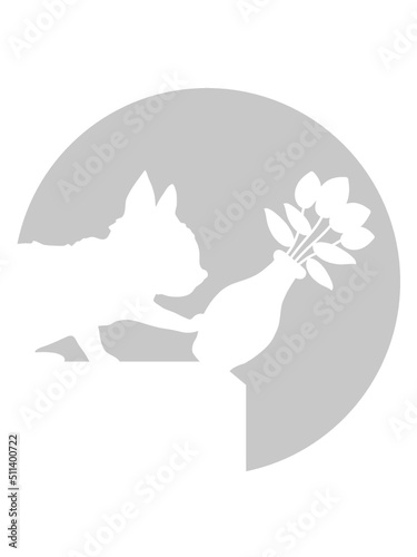 Herunterfallende Blumenvase freche Katze 