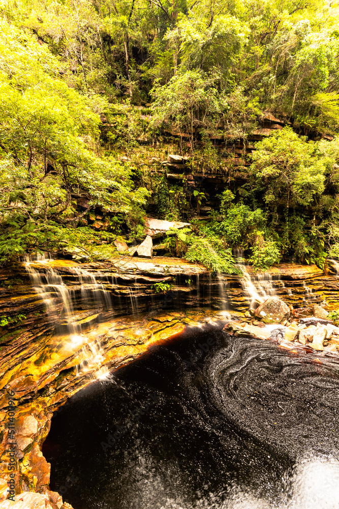 Fototapeta premium waterfall in the woods