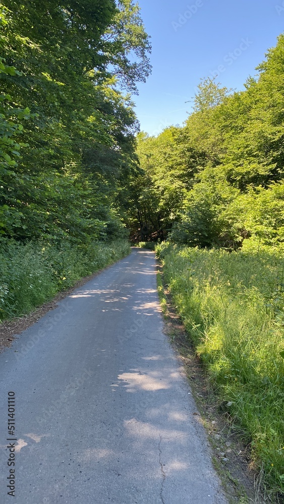 tal der wilden endert, greimersburg, endert, cochem, eifel, wanderweg, deutschlands, feldweg, landwirtschaftlicher verkehr, frühling, sommer, wald, natur, ins grüne, traktor, wald, wiese, weide, natur tal der wilden endert, greimersburg, endert, cochem, eifel, wanderweg, deutschlands, feldweg, landwirtschaftlicher verkehr, frühling, sommer, wald, natur, ins grüne, traktor, wald, wiese, weide, natur
