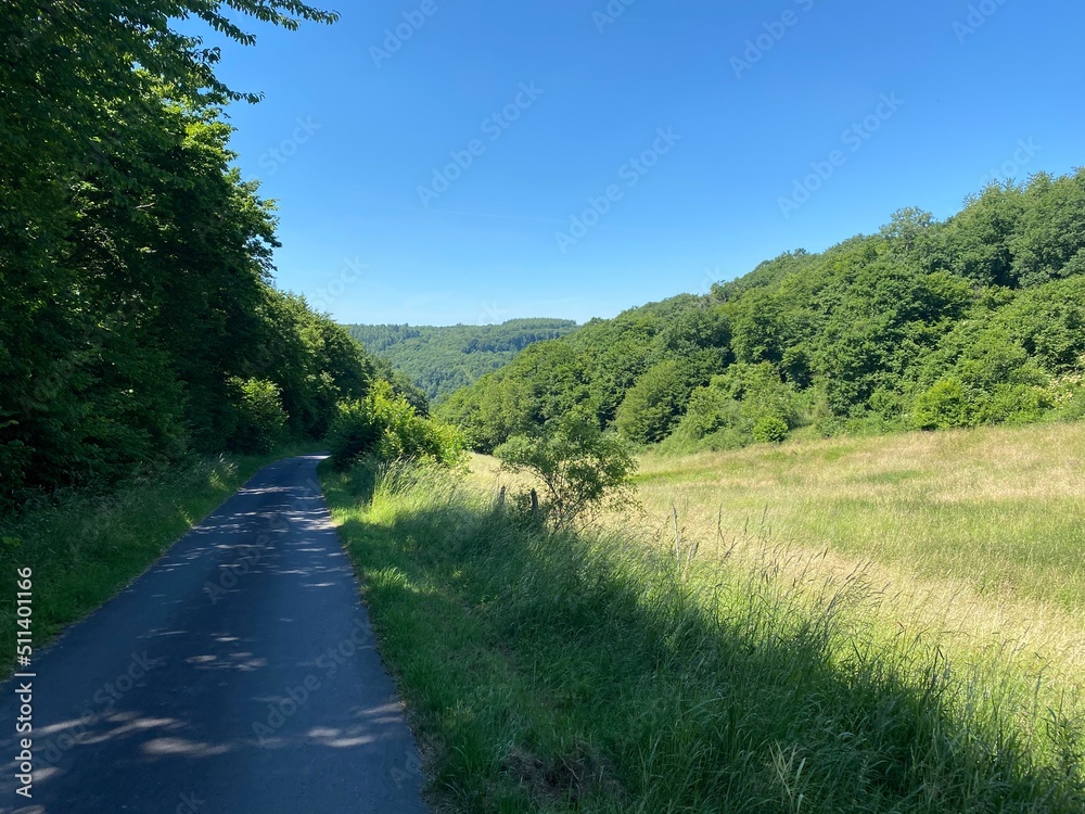 tal der wilden endert, greimersburg, endert, cochem, eifel, wanderweg, deutschlands, feldweg, landwirtschaftlicher verkehr, frühling, sommer, wald, natur, ins grüne, traktor, wald, wiese, weide, natur