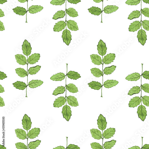 seamless pattern simple green rosehip leaves in watercolor on a white background, in the Scandinavian style for textiles, wrapping paper