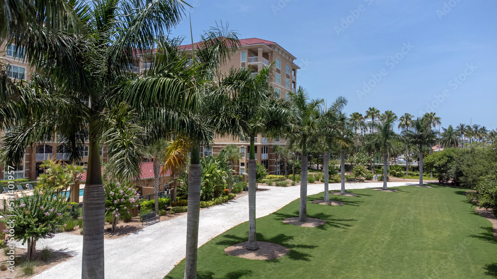 Palm Trees at Bradenton Riverwalk