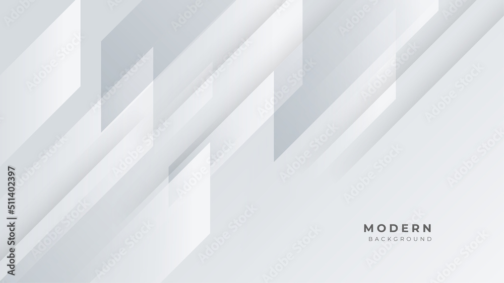 Modern abstract light white silver background vector. Elegant concept design with grey line.