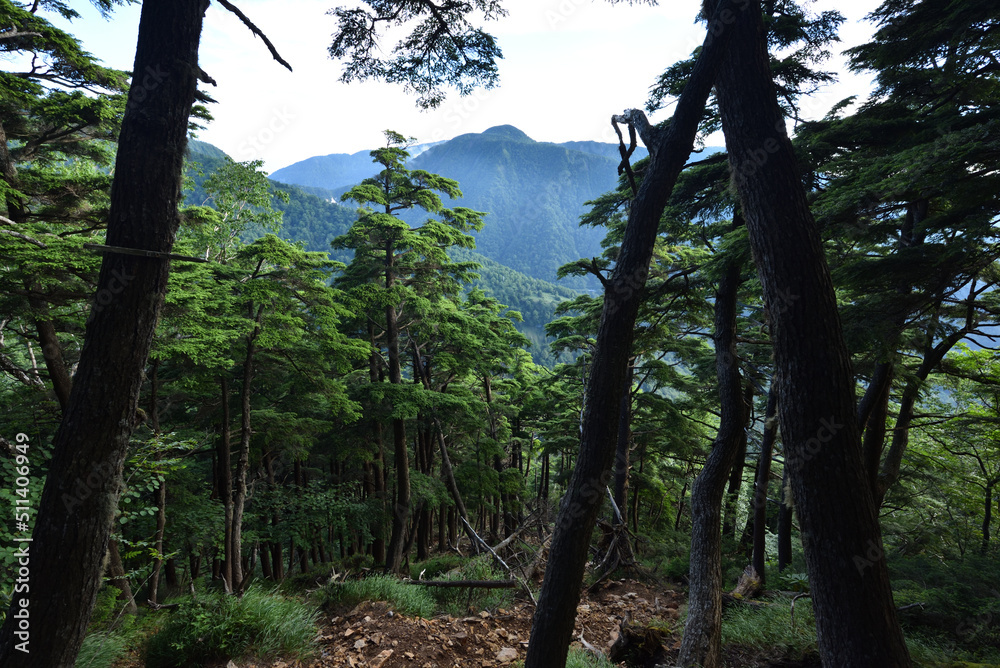 Naklejka premium Mountain climbing in summer season