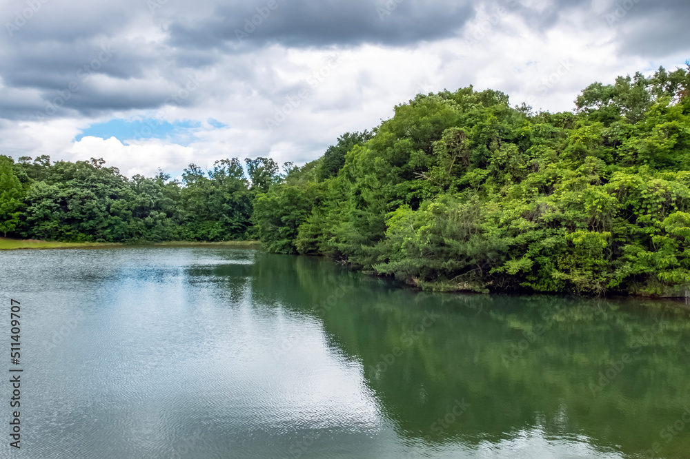 滋賀県大津市瀬田公園 初夏の風景 滋賀県大津市瀬田公園 初夏の風景