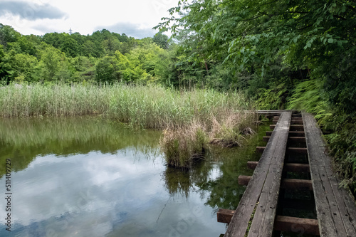 滋賀県大津市瀬田公園　初夏の風景 © MTBS PHOTO