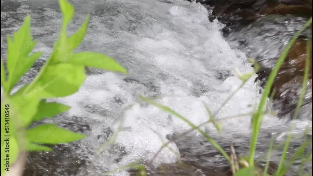 小川の水の流れ 小川の水の流れ