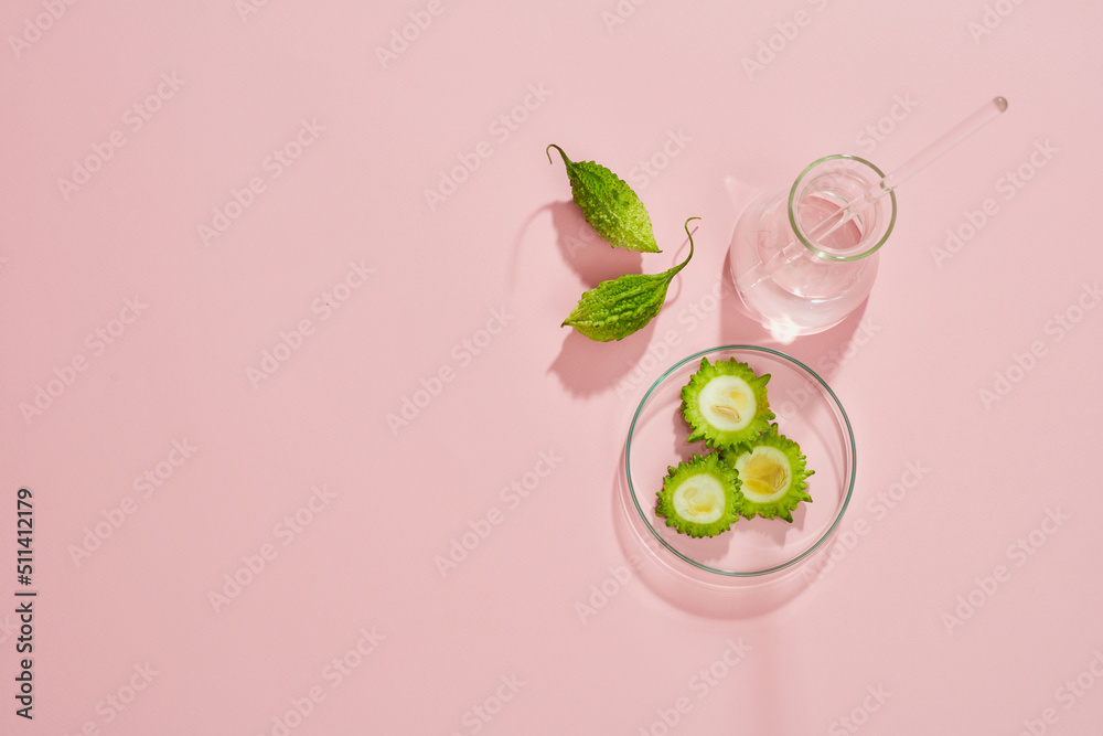 Top view of bittermelon in petri dish and green leaf with blank space pink background Top view of bittermelon in petri dish and green leaf with blank space pink background