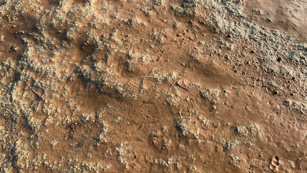 The rough texture of the river stone with the morning sun falling on its surface