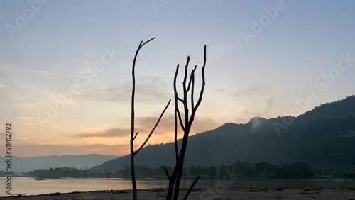 Silhouette of dry tree branches on the riverside with mountains and morning sky