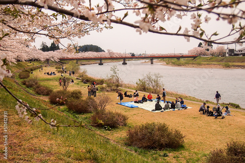 Kakunodate,Akita,Tohoku,Japan on April 27,2018:Cherry blossom viewing along the Hinokinai River in spring.(selective focus) photo