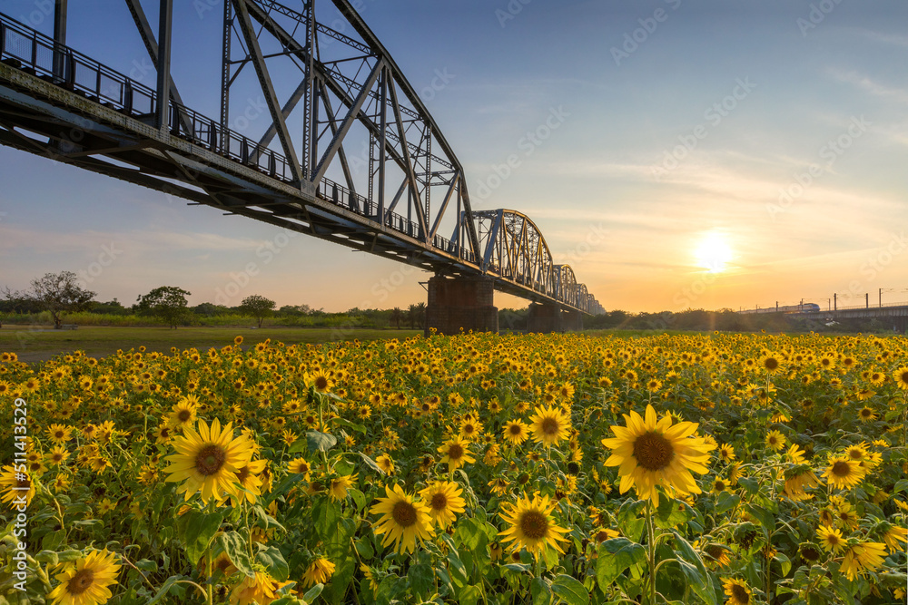 Historical Iron Bridge across the KaoPing River at Pingtung city, taiwan