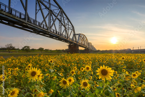 Historical Iron Bridge across the KaoPing River at Pingtung city, taiwan photo