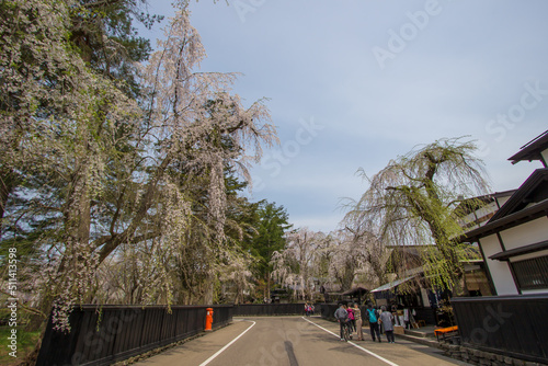 Samurai District of Kakunodate,Akita,Tohoku,Japan on April 27,2018:Tourists came to see weeping cherry trees(shidarezakura) along the street and historic homes in spring.