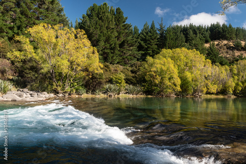 An artificial weir on the Hawea River created to provide water sports opportunities. River in the foreground  forest in the background  on a bright  sunny  summer s day. Otago  South Island  New Zeala