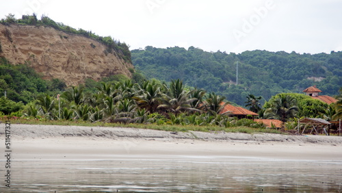 Fototapeta Naklejka Na Ścianę i Meble -  Palm trees on the beach in Canoa, Ecuador