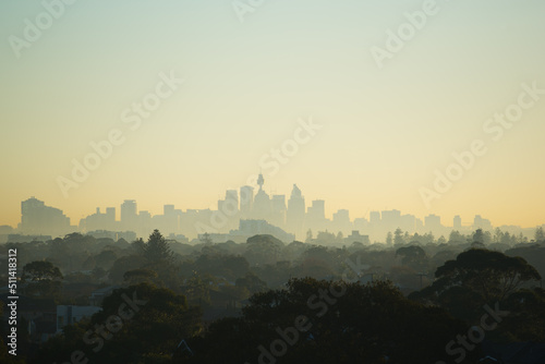 Sydney skyline at dawn with misty air