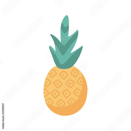 fresh pineapple fruit