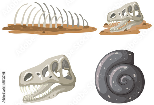 Set of different fossils isolated