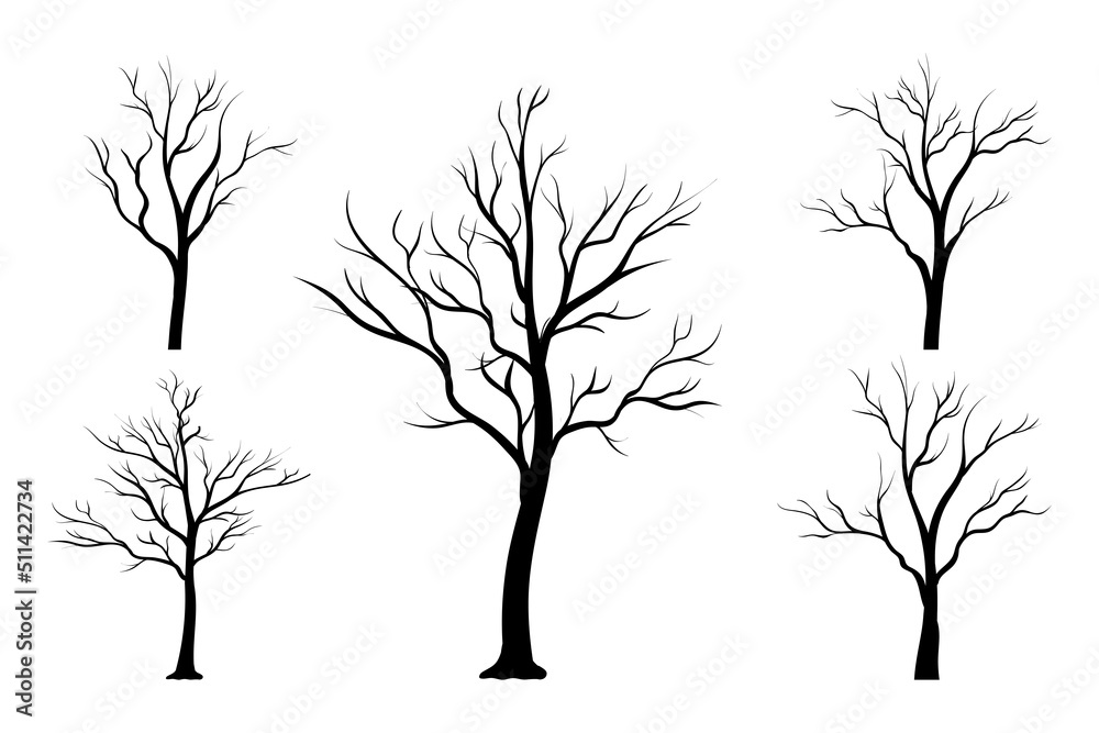 Obraz premium Tree without leaves silhouette vector elements