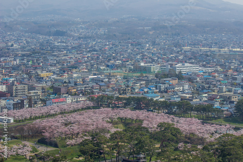 Hakodate,Hokkaido,Japan on April 29,2018:Cherry trees along the moats of Fort Goryokaku as seen from Goryokaku Tower