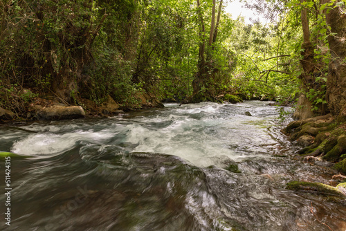 Fast  flowing Hermon stream in the area of the national park in northern Israel