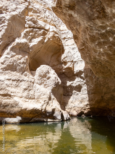 Stone  desert near the Rahaf stream  on the Israeli side of the Dead Sea  near Jerusalem in Israel