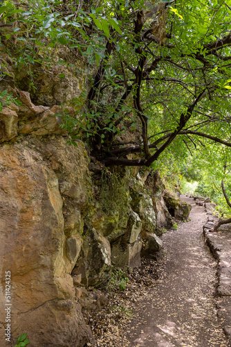 Path leading through a Hermon Stream Nature Reserve in northern Israel