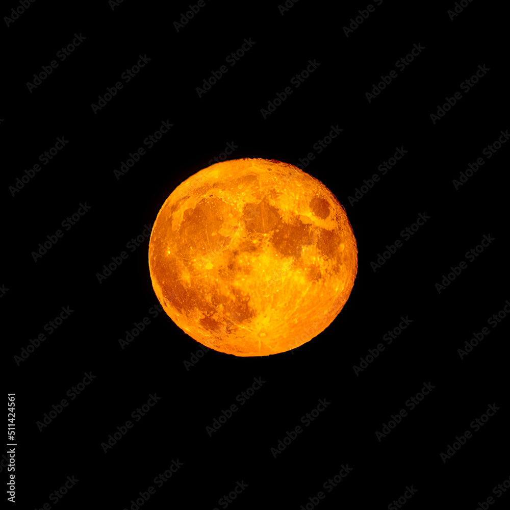 Fototapeta premium Red full moon in red color also called bloodmoon